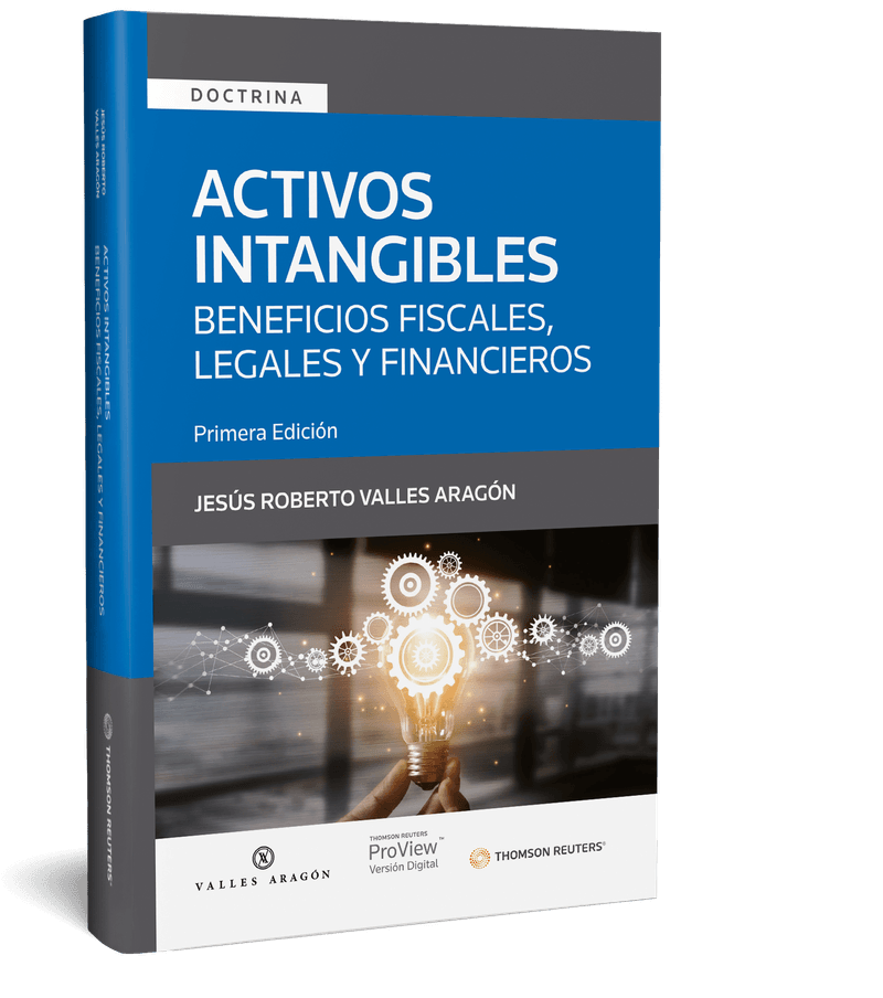 Activos-intangibles---Libro